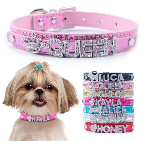 designer collars for small dogs